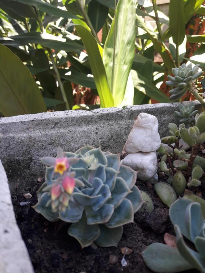 Casa Indaiá BnB Caraguatatuba Esterno foto