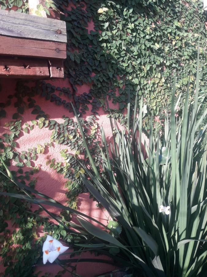 Casa Indaiá BnB Caraguatatuba Esterno foto