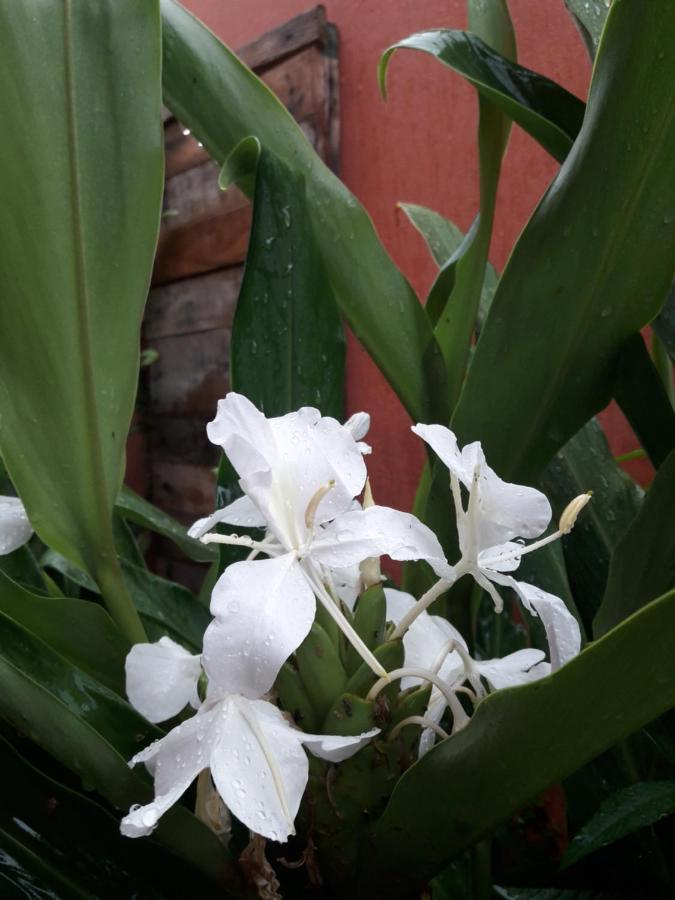 Casa Indaiá BnB Caraguatatuba Esterno foto