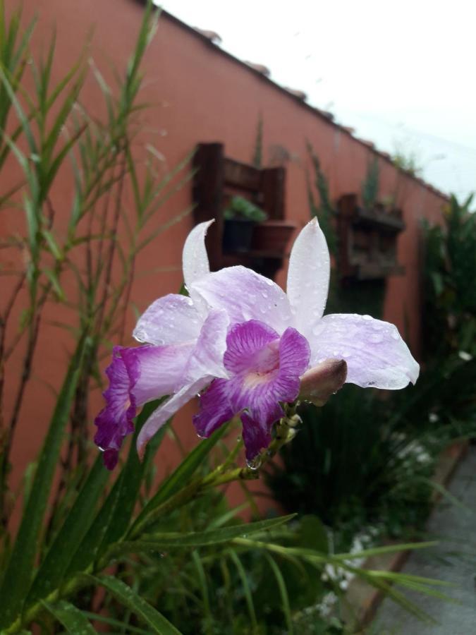 Casa Indaiá BnB Caraguatatuba Esterno foto